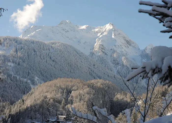 Πανσιόν Oblasser