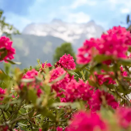 Oblasser Gæstehus Mayrhofen